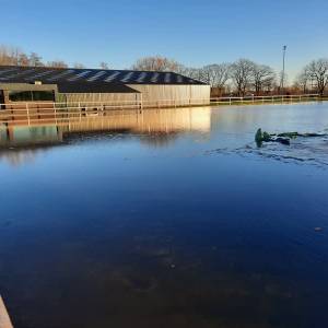 Schaatsen bij Ruitersport Zijtaart