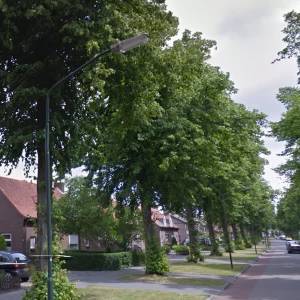 ‘Bomen’ over bomen Deken Baekersstraat Schijndel
