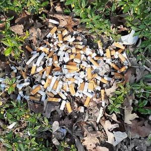 'Gevaar sigarettenpeuken wordt genegeerd'