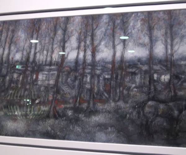 Fraaie tentoonstelling van schilderende huisarts Frans Alkemade (video)