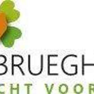 Bridgedrive voor inrichting PieterBrueghelHuis