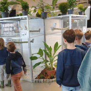 Vogels, Kunst door de Brievenbus en expositie in Erp