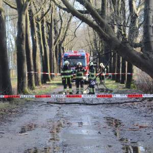 Stormschade in Meierijstad blijft beperkt