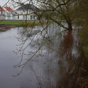 De Dommel neemt steeds meer ruimte