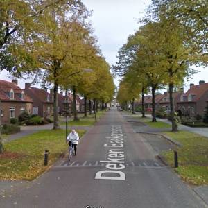Aantal bewoners start petitie tegen kappen van bomen in Schijndel