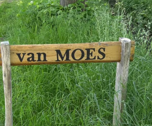 ‘Van Moes' brengt natuur dichterbij (video)