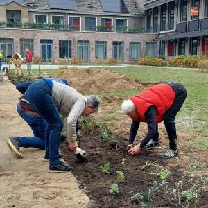 Meierijstad vierde tegelwipgemeente van Nederland, ruim 82.000 tegels gewipt