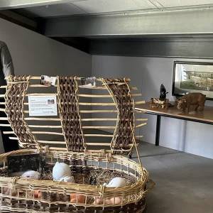 Nationaal Varkensmuseum verhuist naar Sint-Oedenrode
