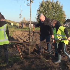 Recordaantal geplante bomen in Meierijstad op boomfeestdag (Video)