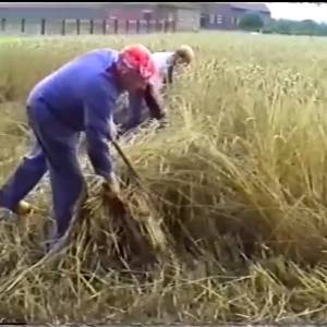 100 jaar ‘Boerenleven in Brabant’ op tv