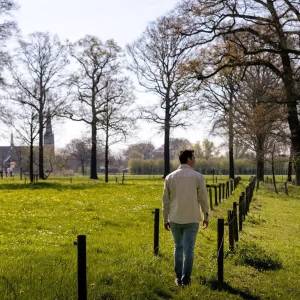 Groen licht voor Van Gogh Nationaal Park in Brabant: ‘Internationaal visitekaartje’