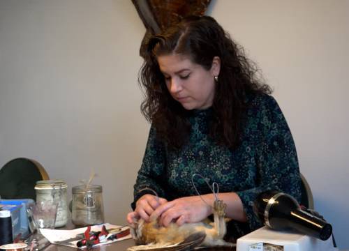 Schijndelse taxidermist geeft vogels een tweede leven (video)