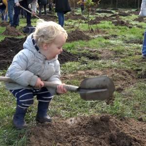 Eerste bomen geplant in nieuw geboortebos Schijndel (video)