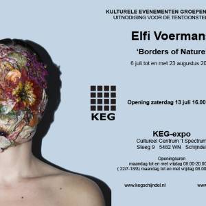 Elfi Voermans exposeert in Schijndel: 'Ik heb een enorme verzameldrang voor dingen uit de natuur'