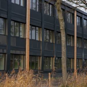 CBS: Relatief meer Oekraïners in Meierijstad, maar minder statushouders (video)