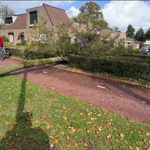 Boom aan Mereldonk Veghel omgewaaid door storm