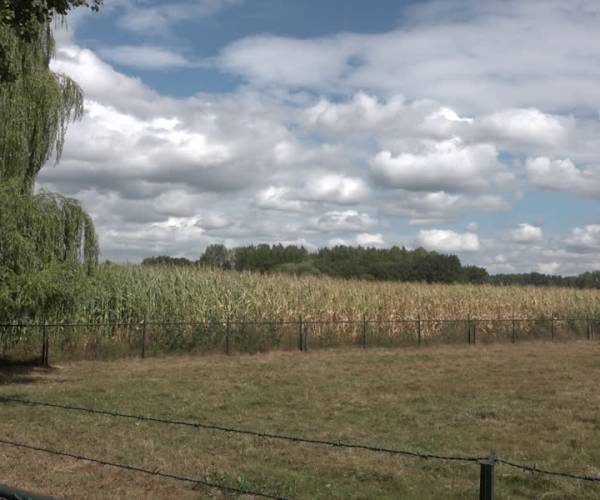 Duurzame boeren krijgen voorrang in Meierijstad