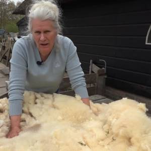 Hoe de wol van een Schijndels schaap in kunst verandert