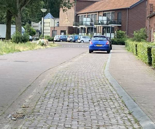Raad van State houdt twijfels over perkeerproblemen Frisselsteinstraat