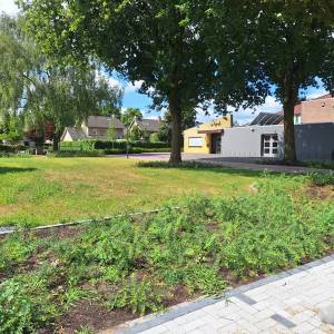 Dorpshuis d’n Brak in Mariaheide krijgt groene opfrisbeurt