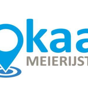 LOKAAL Meierijstad introduceert nieuw partijlogo