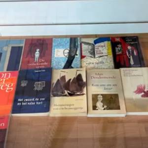 Bijzondere collectie boeken in etalage boekwinkel in Veghel (video)