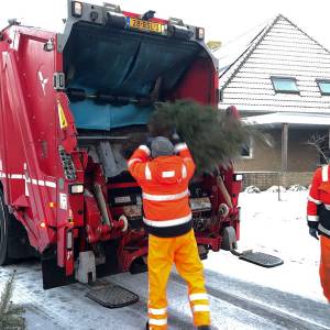 Ophaalactie voor kerstbomen van gemeente weer voorbij (video)