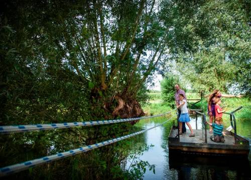Het Groene Woud krijgt miljoenen subsidie van EU