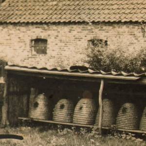 Flinke subsidie voor Roois boerderijenboek