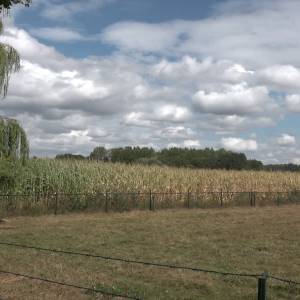 Duurzame boeren krijgen voorrang in Meierijstad