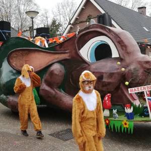 Fotoverslag optocht De Reigers