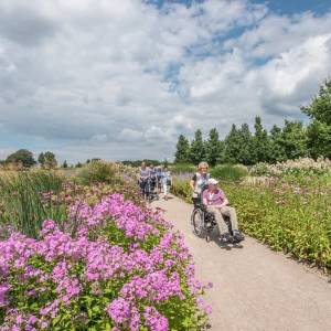 Jubileumwandeltocht De Zonnebloem tijdens Schijndelse avondvierdaagse